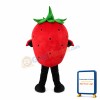 Cartoon Big Eyes Strawberry Mascot Costume