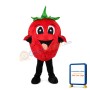 Cartoon Big Eyes Strawberry Mascot Costume