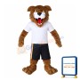Tiger Wearing Sports Set Mascot Costume
