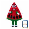 Cartoon Red Triangle Watermelon Mascot Costume