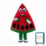 Cartoon Red Triangle Watermelon Mascot Costume