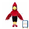 Fierce Cardinal Bird Sports School Mascot Costume