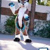 Dog Fox Wolf Mascot Costume