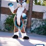 Dog Fox Wolf Mascot Costume