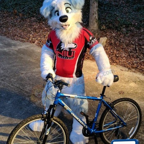 Cute Blue & White Dog Mascot Costume
