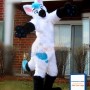 Realistic Fox Wolf Mascot Costume