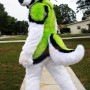 Fierce Green & White Husky Dog Mascot Costume
