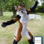 Brown Fox Wolf Dog Mascot Costume