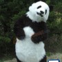 Deluxe Realistic Panda Mascot Costume