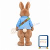 Realistic Peter Rabbit Mascot Costume