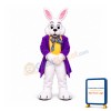 Wendell Rabbit Bunny Mascot Costume