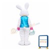 Lovely Easter Bunny Mascot Costume
