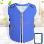 Ice Pack Cooling Vest