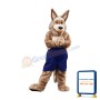 Coyote Mascot Costume