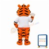 Cute Little Tiger Mascot Costume