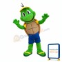 Little Green Turtle Mascot Costume