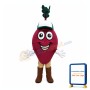 Happy Beet Mascot Costume