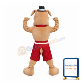 Cute Brown Bulldog Mascot Costume