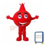 Pomegranate Mascot Costume