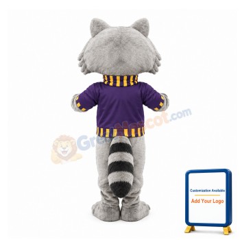 College Cute Raccoon Mascot Costume