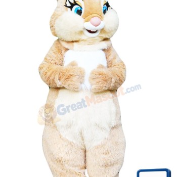 Miss Bunny Mascot Costume
