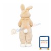 Miss Bunny Mascot Costume