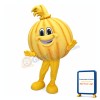 Cute Orange Mascot Costume