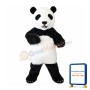 Cute Panda Mascot Costume