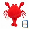 Red Crab Mascot Costume
