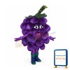 Grape Mascot Costume