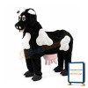 Lovely Black & White Horse Mascot Costume