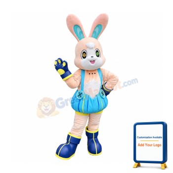 Lovely Cartoon Rabbit Mascot Costume