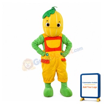 Pumpkin Boy Mascot Costume