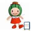 Watermelon Girl Mascot Costume