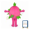 Pitaya Mascot Costume