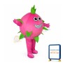 Pitaya Mascot Costume