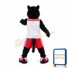 Black Panther Mascot Costume