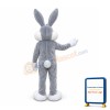Friendly Bugs Bunny Mascot Costume