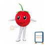 Cherry Mascot Costume
