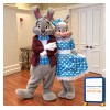 Bunny Couple Mascot Costume