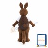 Lightweight Armadillo Mascot Costume