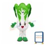 Cabbage Mascot Costume