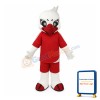 School Sport Hawk Mascot Costume