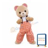 Lovely Bear Boy Mascot Costume