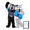 Black Wolf & Grey Wolf Mascot Costume