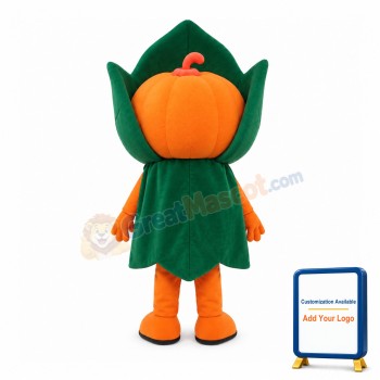 Friendly Pumpkin Boy Mascot Costume