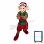 Christmas Elf Mascot Costume