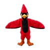 Red Jay Mascot Costume