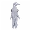 Grey Bunny Mascot Costume