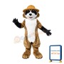 Lovely Lightweight Raccoon Mascot Costume